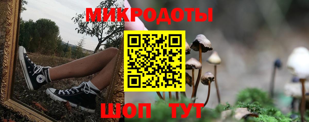 Ярославль  Псилоцибиновые грибы Magic Shrooms  Галлюциногенные грибы GOLDEN TEACHER  Вход с VPN 