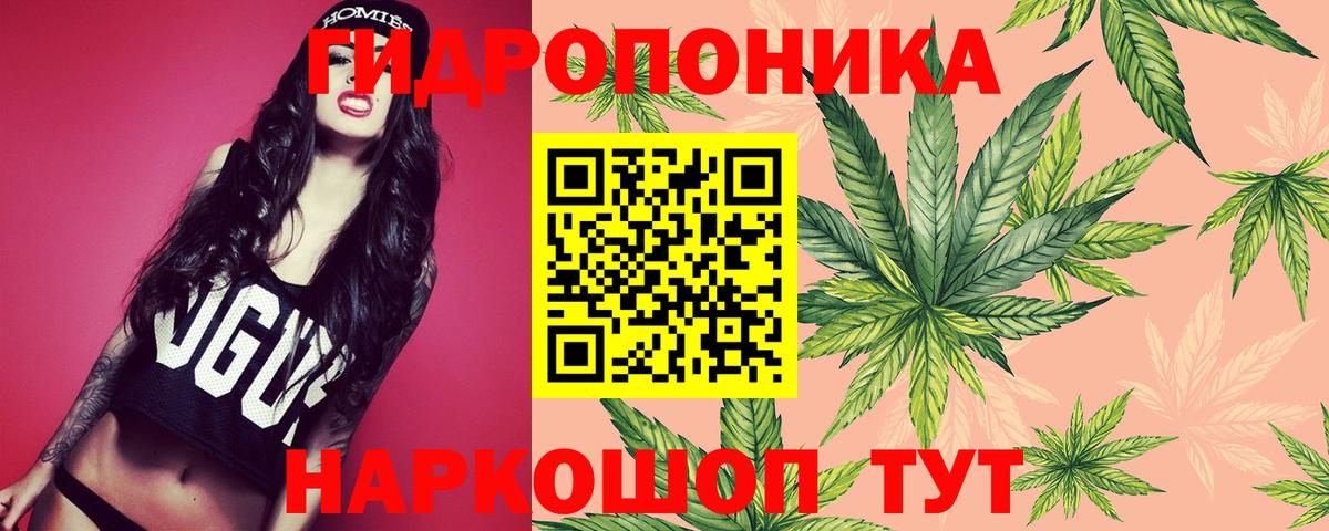 Канабис SATIVA & INDICA  Канабис Amnesia  Ярославль  Вход с VPN 
